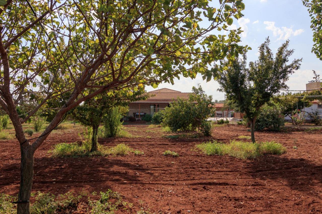 Berryrose Villa Perivólia Extérieur photo